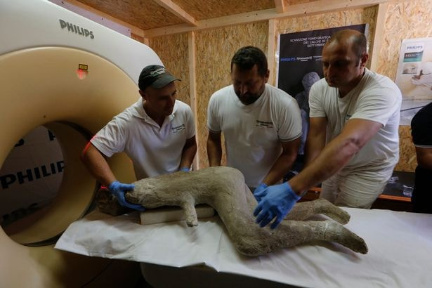 (Photo: Splash and Mirror.co.uk) CAT scan of the 30 Pompeii inhabitants who were preserved in hardened ash after Mount Vesuvius erupted in AD 79. The victims' bodies were encased in ash and later filled with plaster cast.