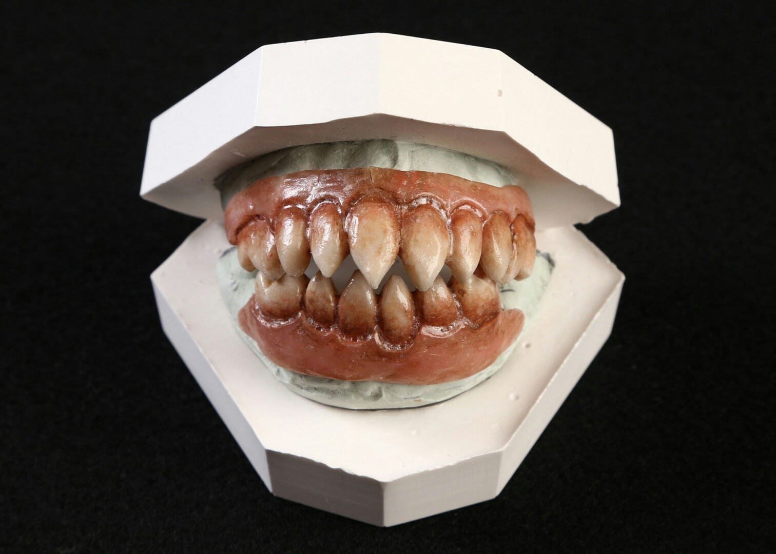 A model of sharp, inhuman 3D printed teeth.