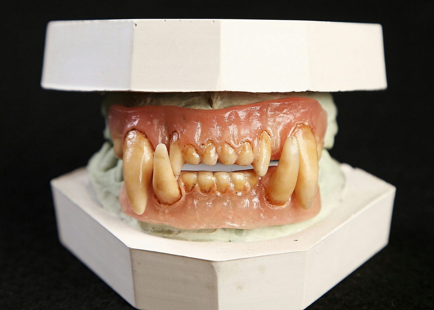 A sixth model of sharp, inhuman 3D printed teeth.