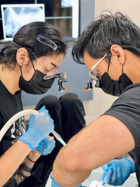 Apex Dental Studio in Hutto, Texas offers free Dentistry Day